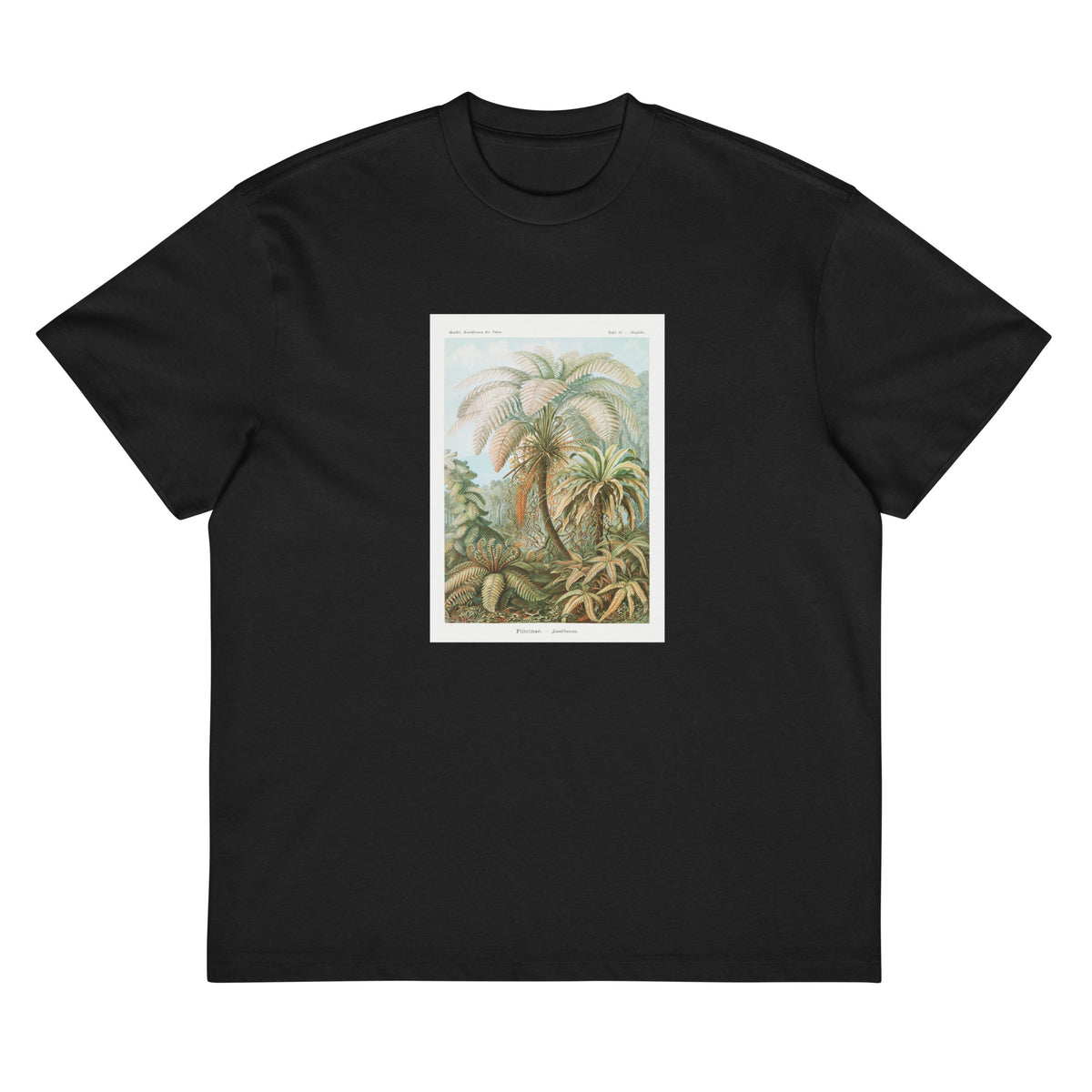 Black T-shirt Filicinae Laubfarne Signature