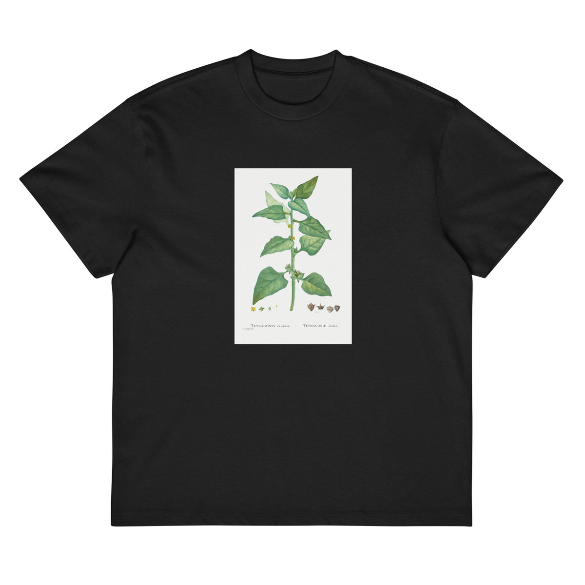 Black T-shirt Tetragonia Expansa New Zealand Spinach Signature