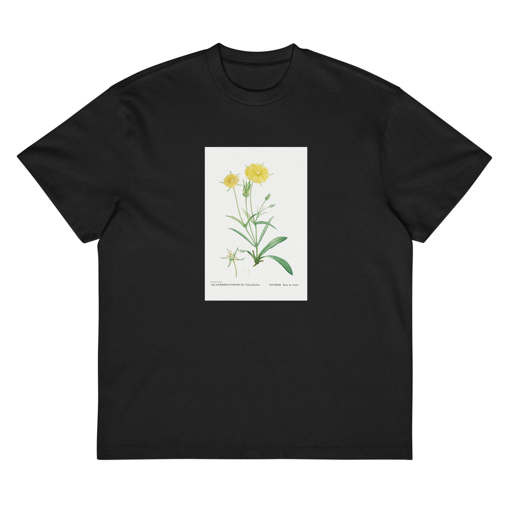 Black T-shirt Mesembryanthemum Helianthoides Spatula Leaved Fig Marigold - Pierre-Joseph 1799 Signature