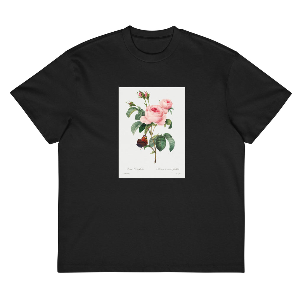 Black T-shirt Cabbage Rose - Pierre-Joseph Redoute 1759 Signature