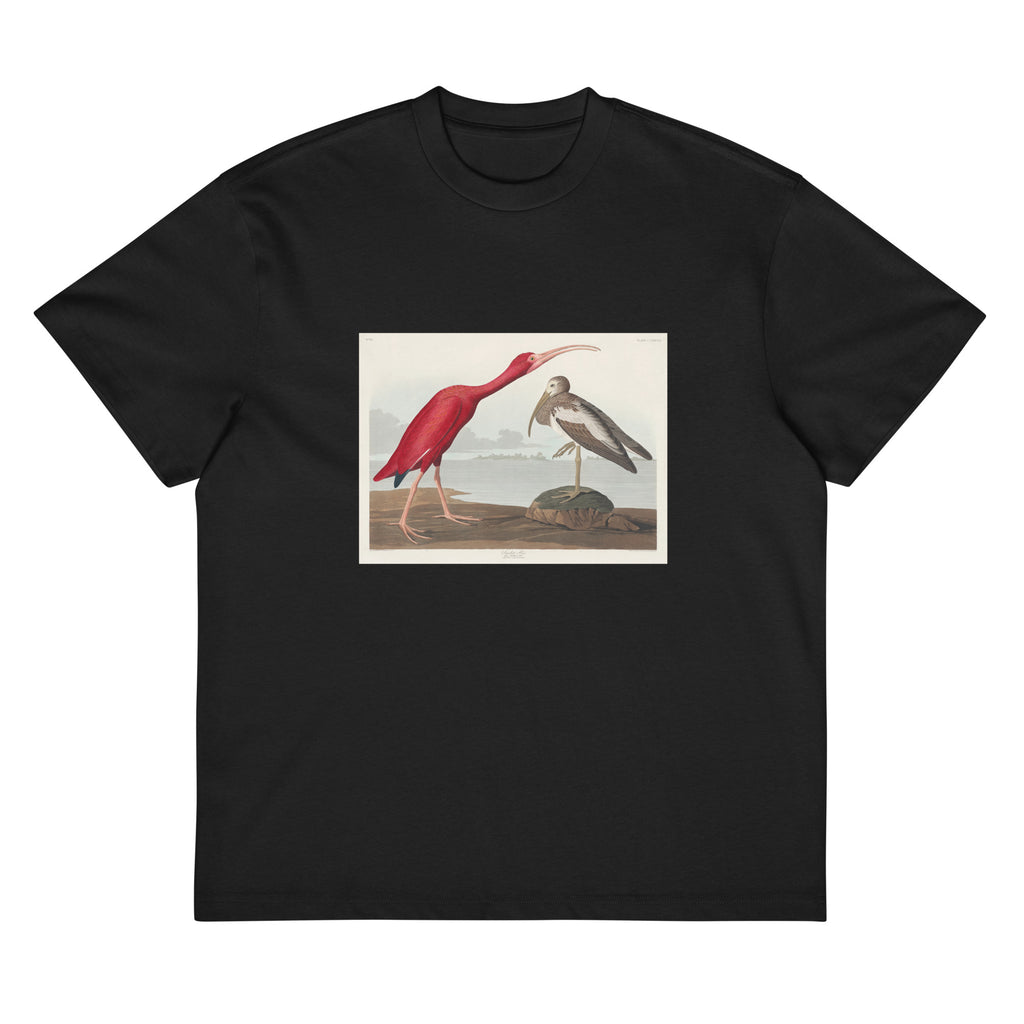 Black T-shirt Scarlet Ibis - John James Audubon 1827 Signature