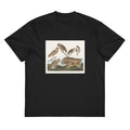 Black T-shirt Burrowing Owl Large-Headed Burrowing Owl Little Night Owl Columbian Owl And Short-Cared Owl - John James Audubon 1827 Signature