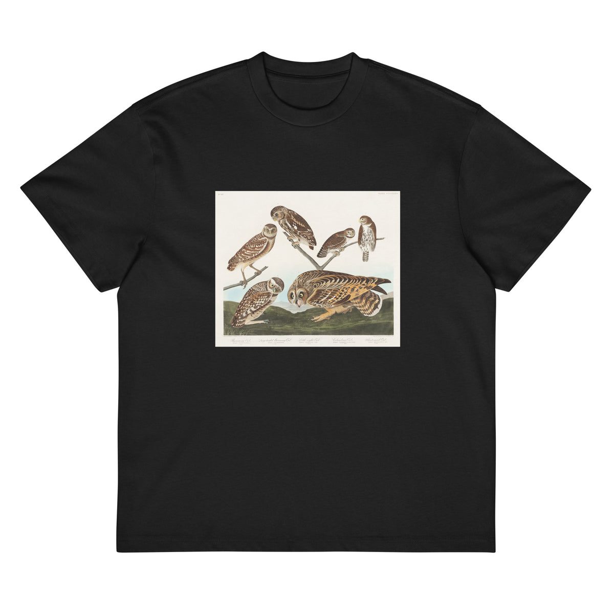 Black T-shirt Burrowing Owl Large-Headed Burrowing Owl Little Night Owl Columbian Owl And Short-Cared Owl - John James Audubon 1827 Signature