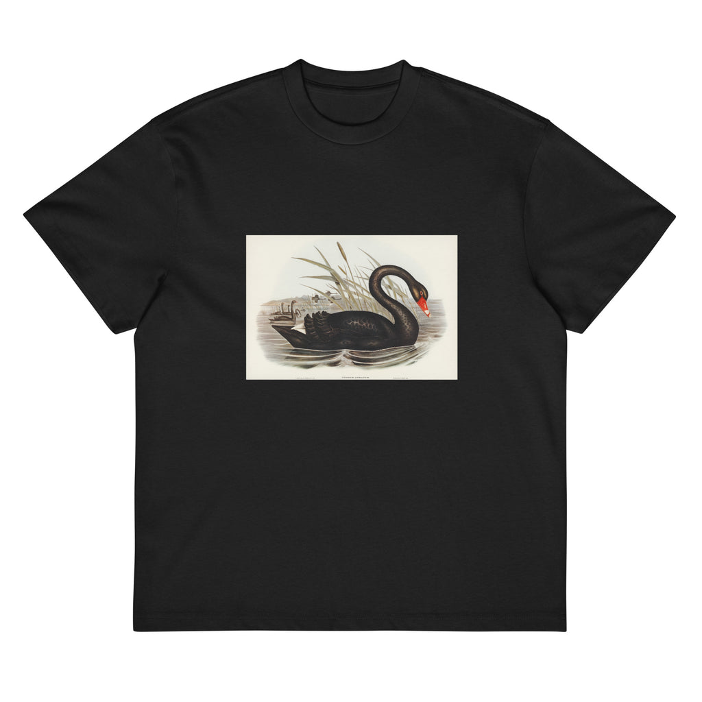 Black T-shirt Black Swan Cygnus Atratus Illustrated - Elizabeth Gould 1804 Signature