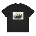 Black T-shirt Black Swan Cygnus Atratus Illustrated - Elizabeth Gould 1804 Signature