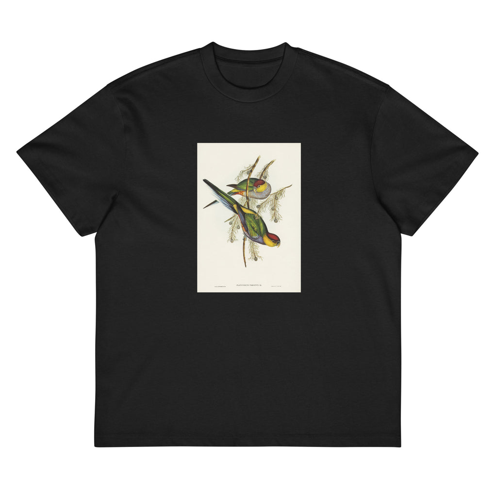 Black T-shirt Red-Capped Parakeet Platycercus Pileatus Illustrated - Elizabeth Gould 1804 Signature