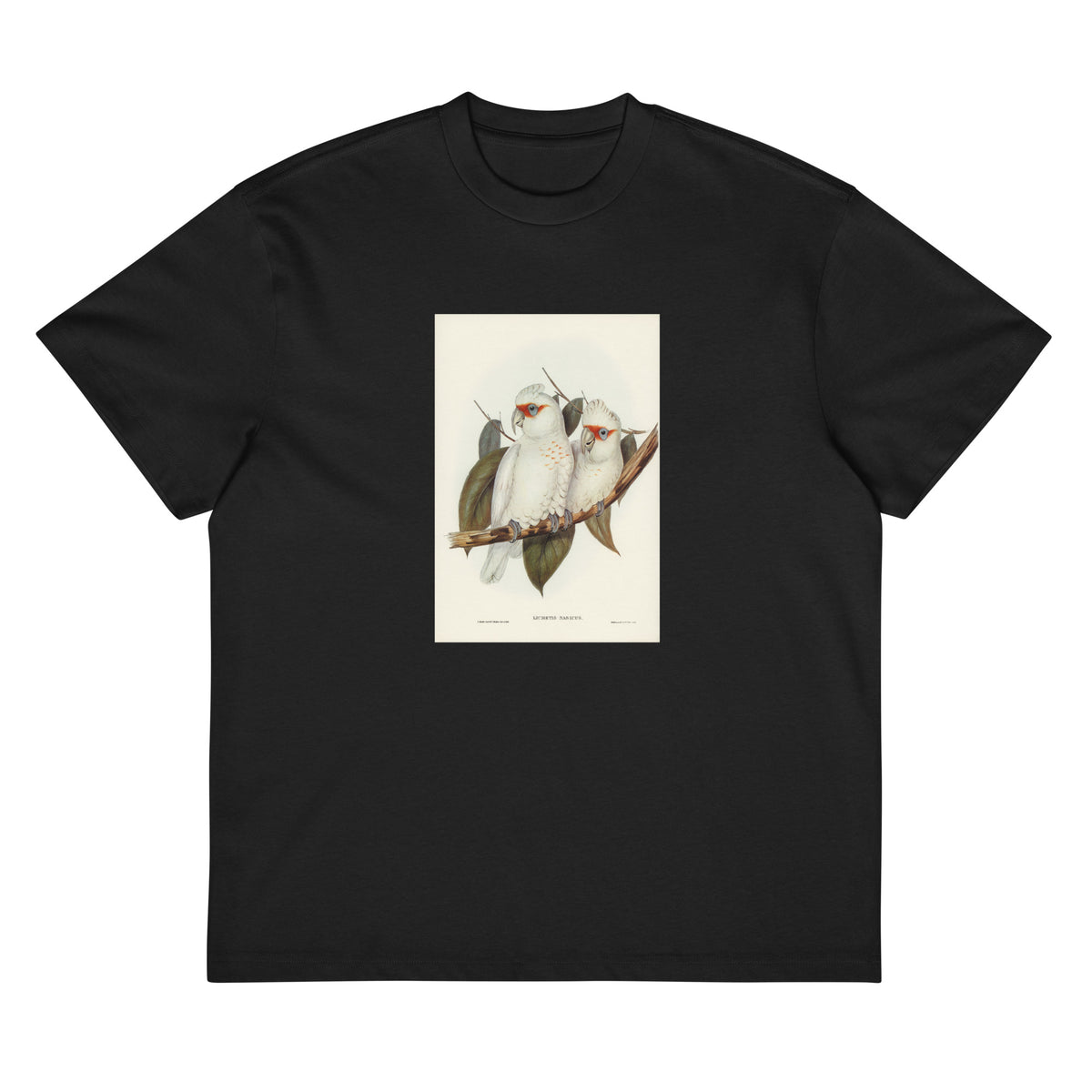 Black T-shirt Long-Billed Cockatoo Licmetis Nasicus Illustrated - Elizabeth Gould 1804 Signature