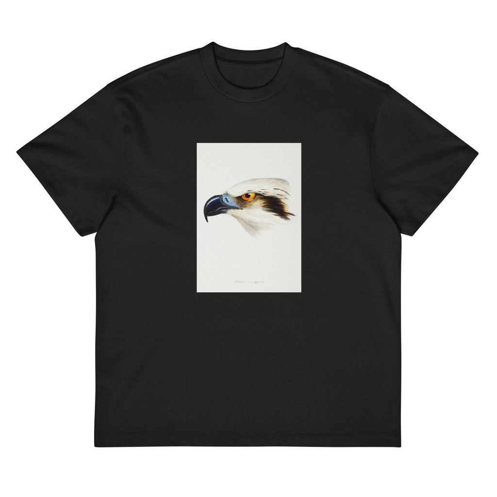 Black T-shirt White-Headed Osprey Pandion Leucocephalus Illustrated Signature