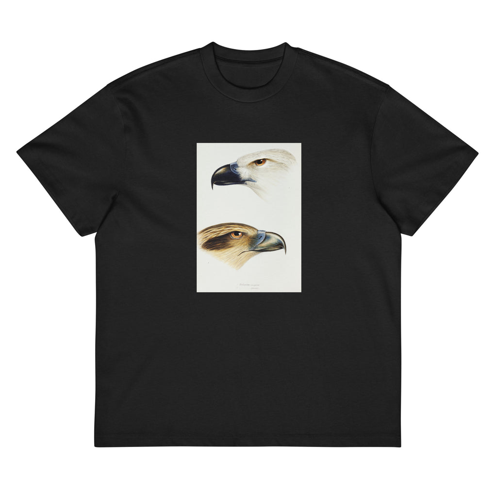 Black T-shirt 1 White-Bellied Sea Eagle Haliaeetus Leucogaster 2 Whistling Kite Haliastur Sphenurus Illustrated Signature