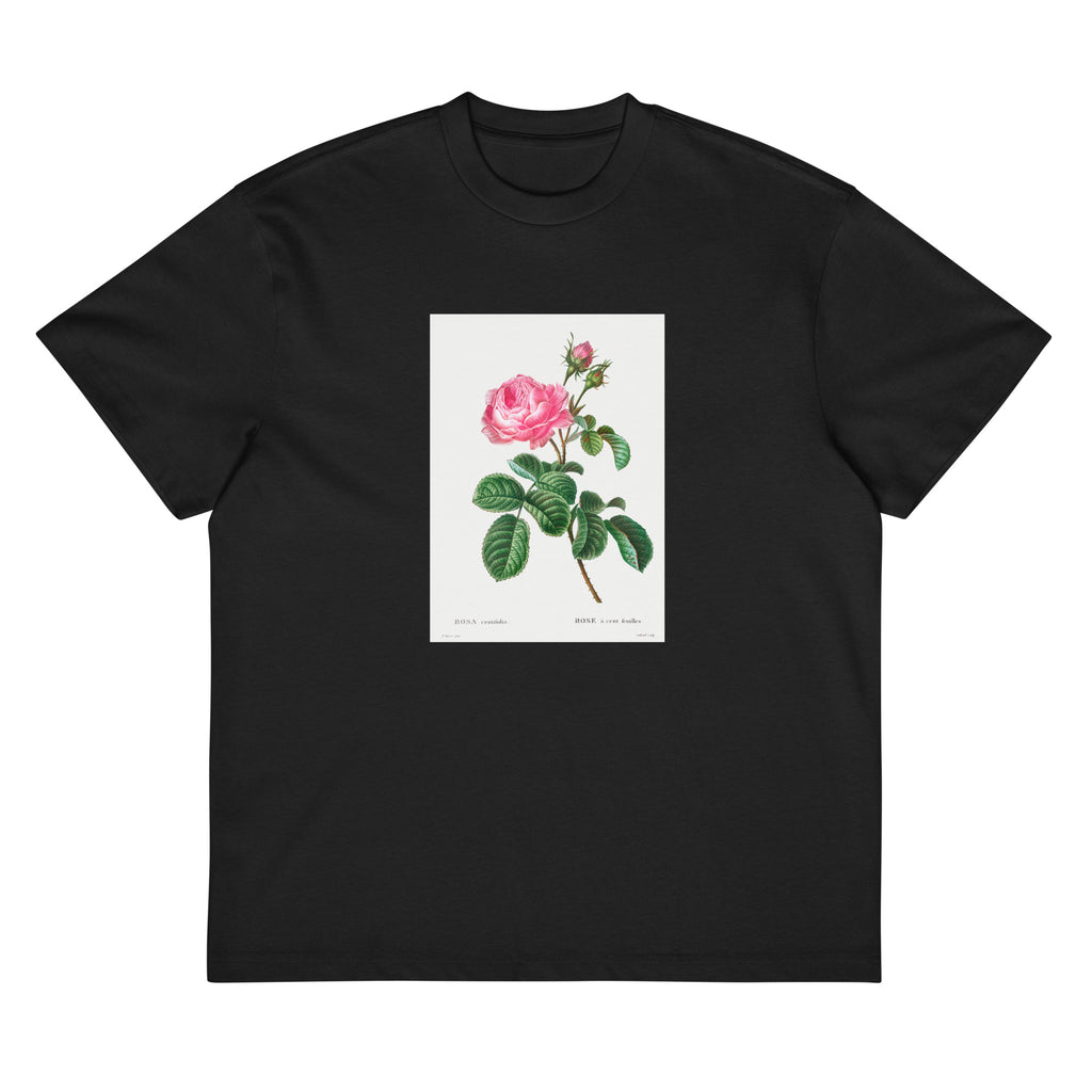 Black T-shirt Cabbage Rose Rosa Centifolia Signature