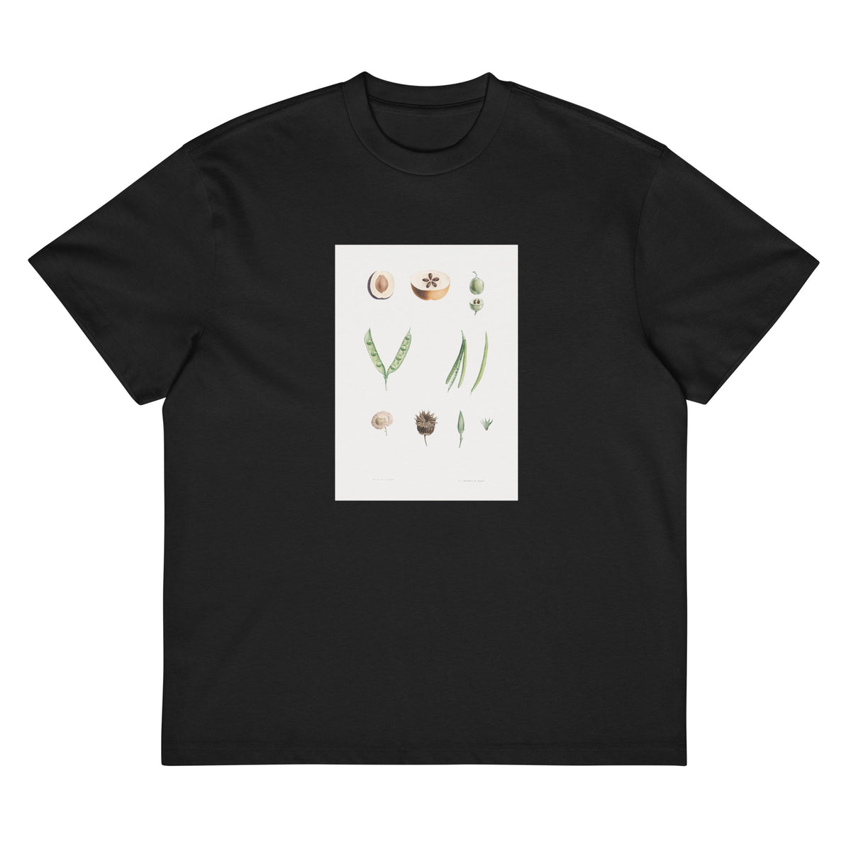 Black T-shirt Plants Part - Pierre-Joseph Redoute 1759 Signature