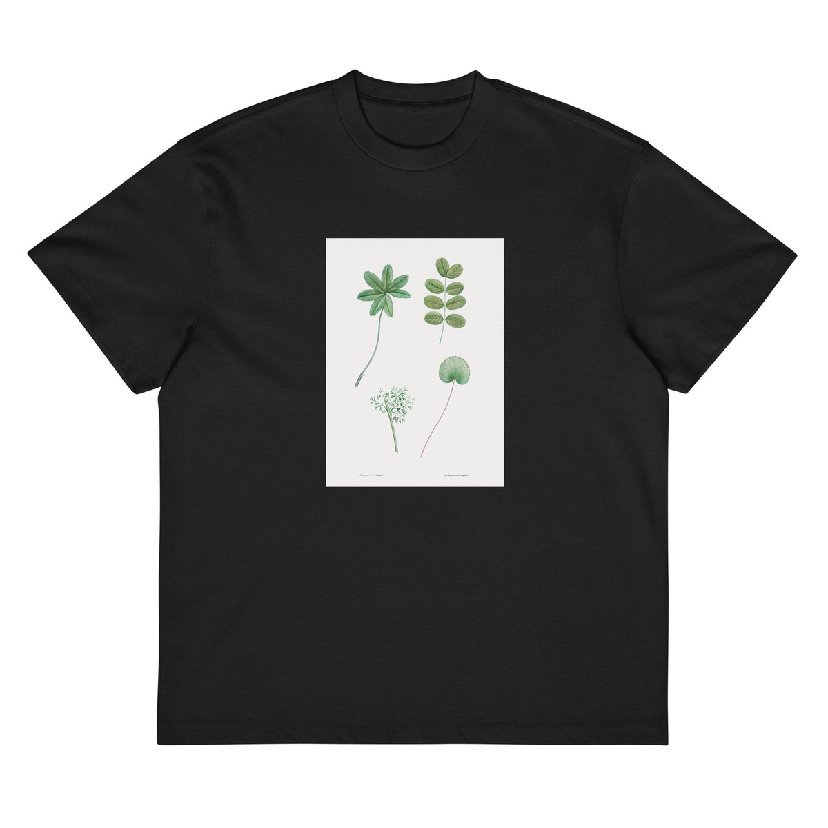 Black T-shirt Tree Leaf Set - Pierre-Joseph Redoute 1759 Signature