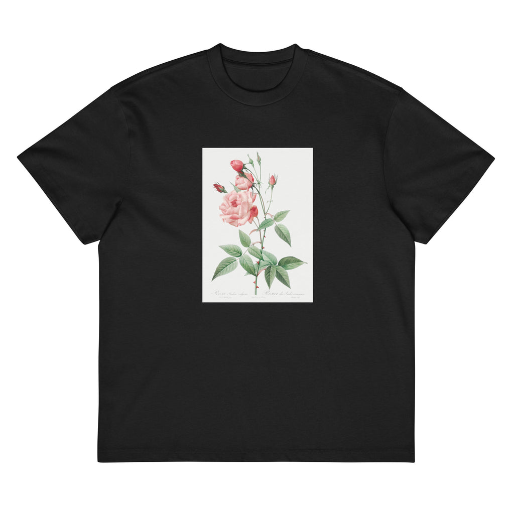 Black T-shirt Old Blush China Also Known As Common Rose Of India Rosa Indica Vulgaris Signature