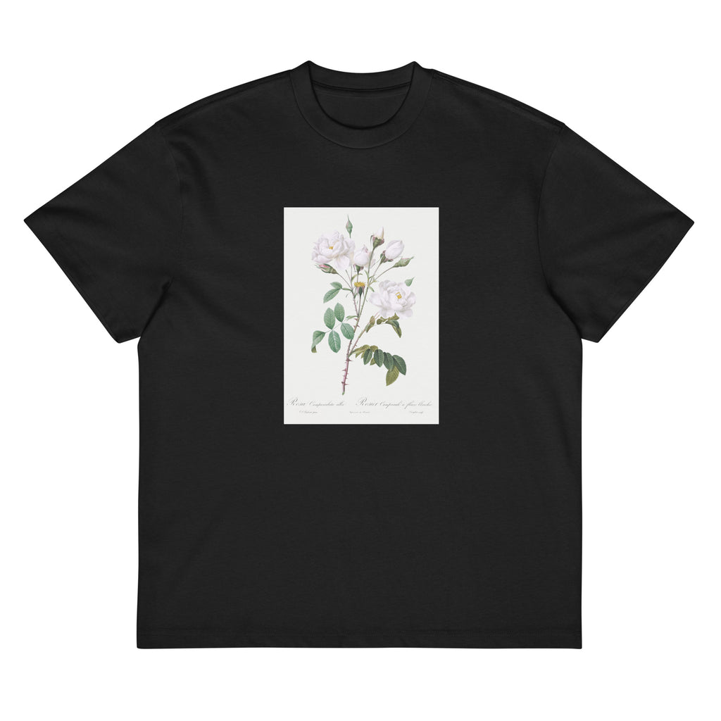 Black T-shirt Rosa Campanulata Alba Also Known As Pink Bellflowers To White Flowers Signature