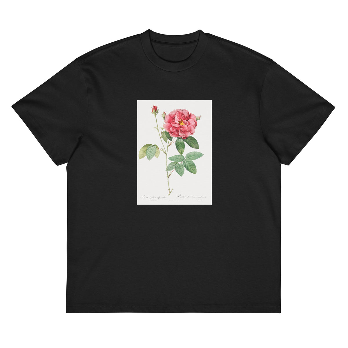 Black T-shirt French Rose Also Known As Ordinary Provins Rosebush Rosa Galluca Offuenalis Signature