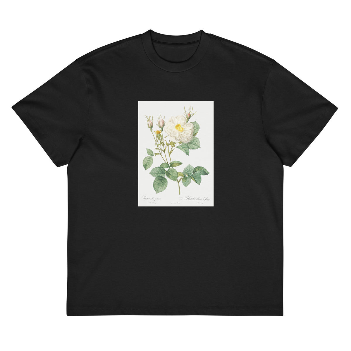 Black T-shirt Rosa X Alba Also Known As The White Leaf Of Fleury Rosa Alba Foliacea Signature
