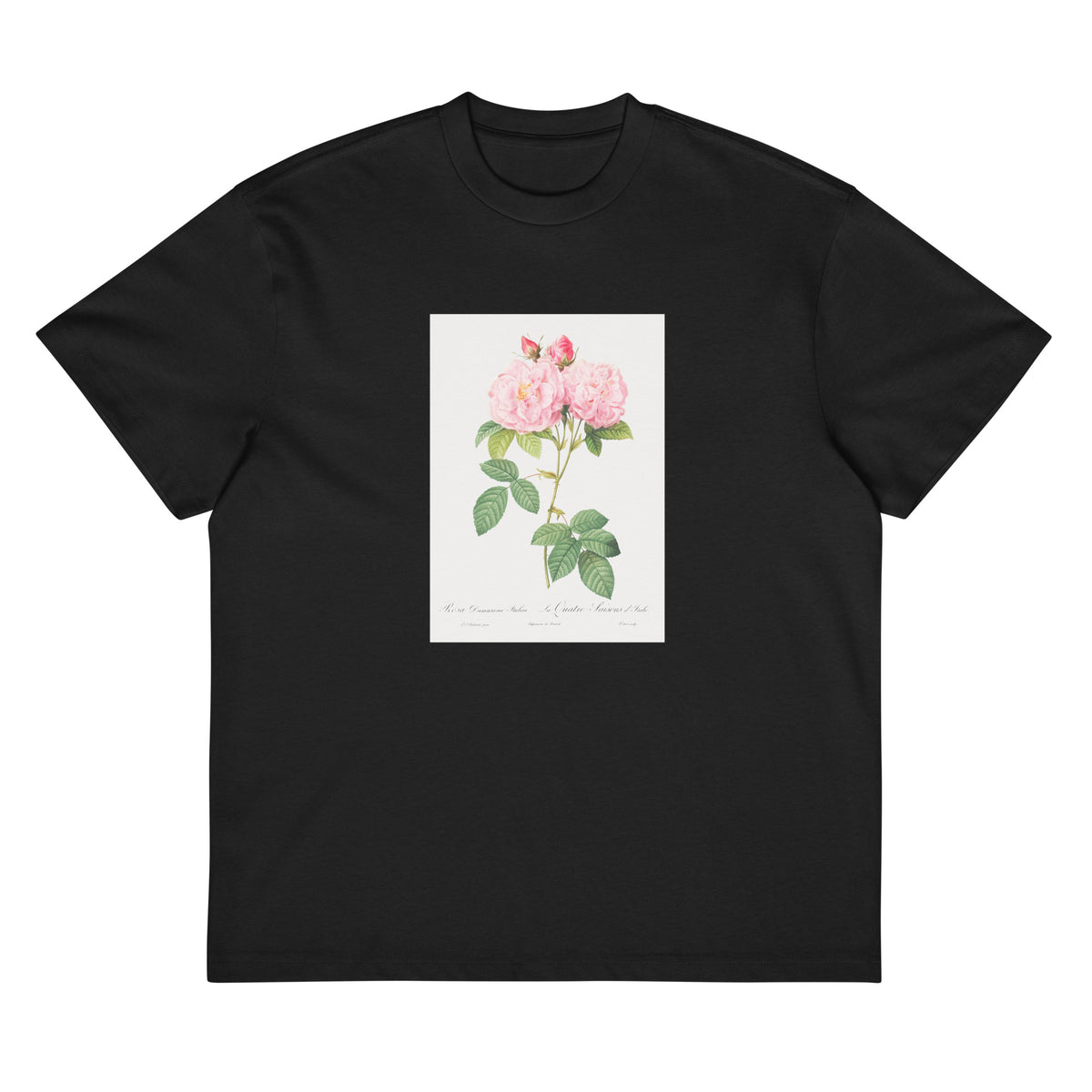 Black T-shirt Italian Damask Rose Also Known As The Four Seasons Of Italy Rosa Damascena Italica Signature