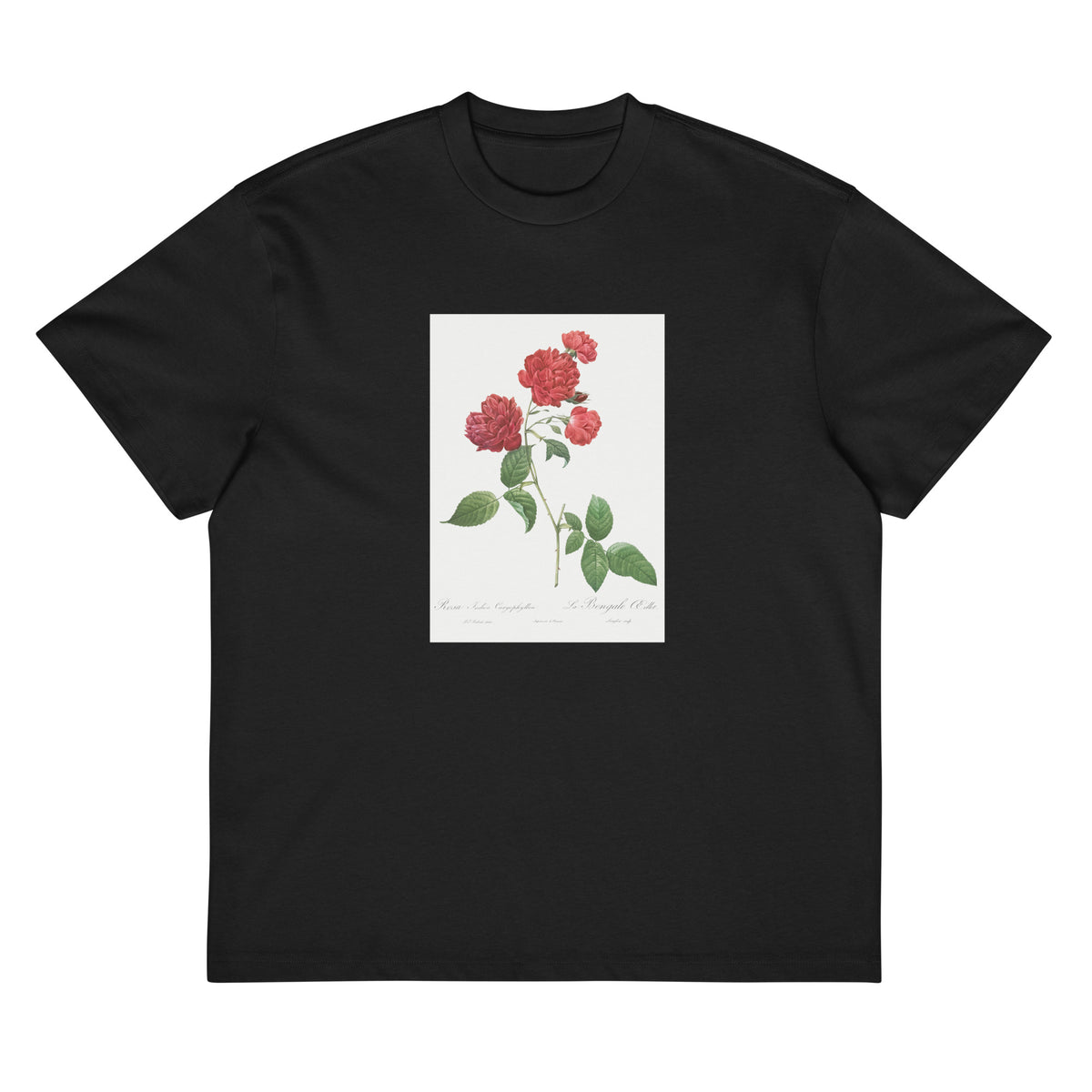 Black T-shirt Red Cabbage Rose Also Known As Bengal Eyelet Rosa Indica Caryophyllea - Pierre-Joseph Redoute Original From The Library Of Congress 1817 Signature