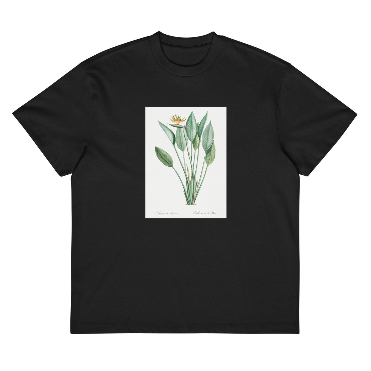 Black T-shirt Bird Of Paradise Illustration II Signature