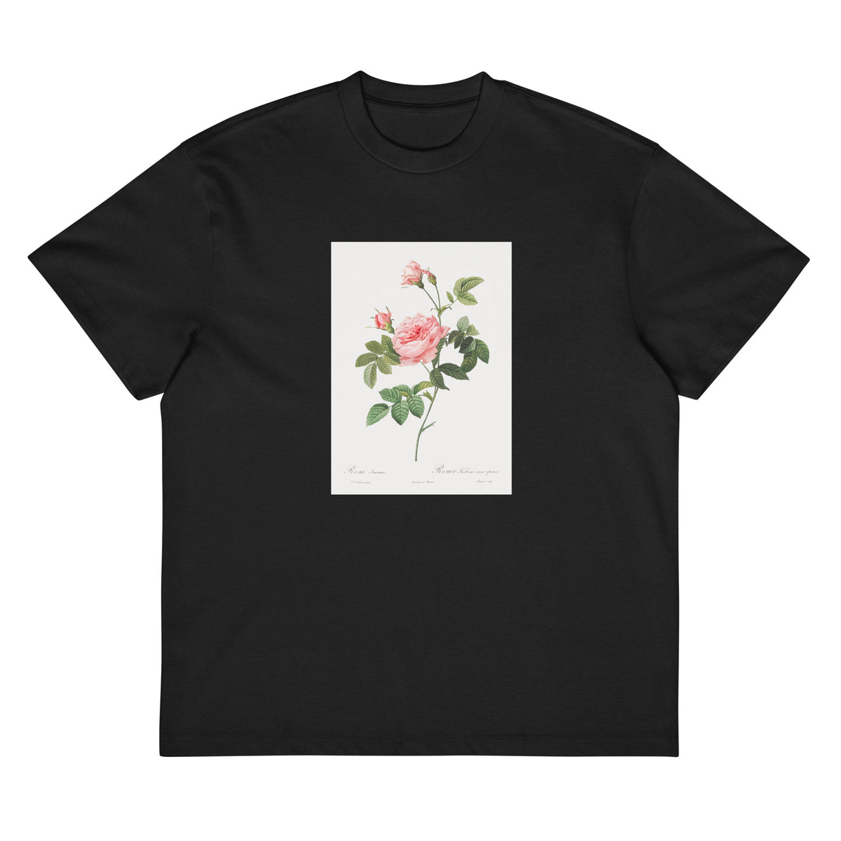 Black T-shirt Boursault Rose Also Known As Rose Turbine Without Thorns Rosa Inermis Signature