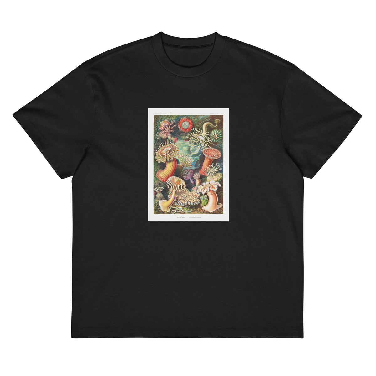 Black T-shirt Actiniae Seeanemonen Signature