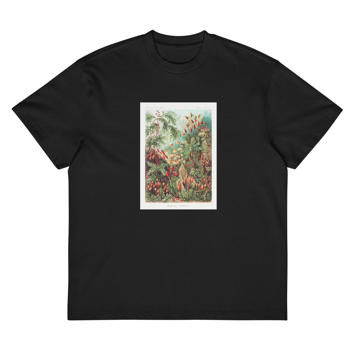 Black T-shirt Muscinae Laubmoose A Giltsch Gem Signature