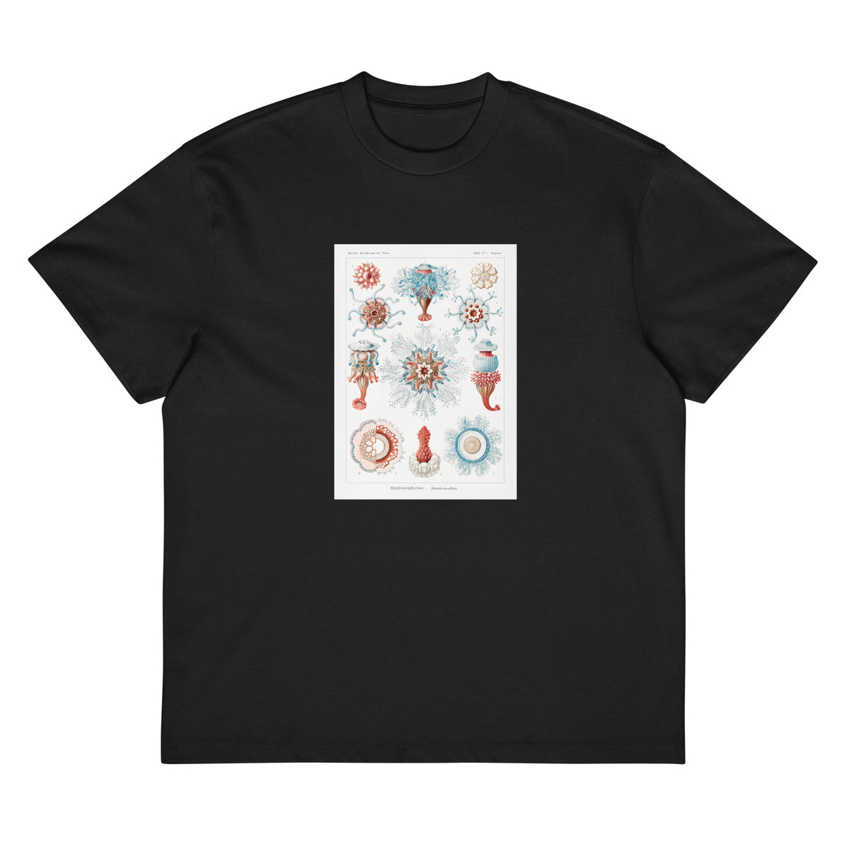 Black T-shirt Siphonophorae Staatsquallen Signature