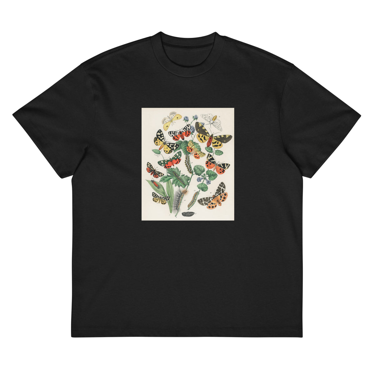 Black T-shirt Illustrations - William Forsell Kirby 1882 Signature