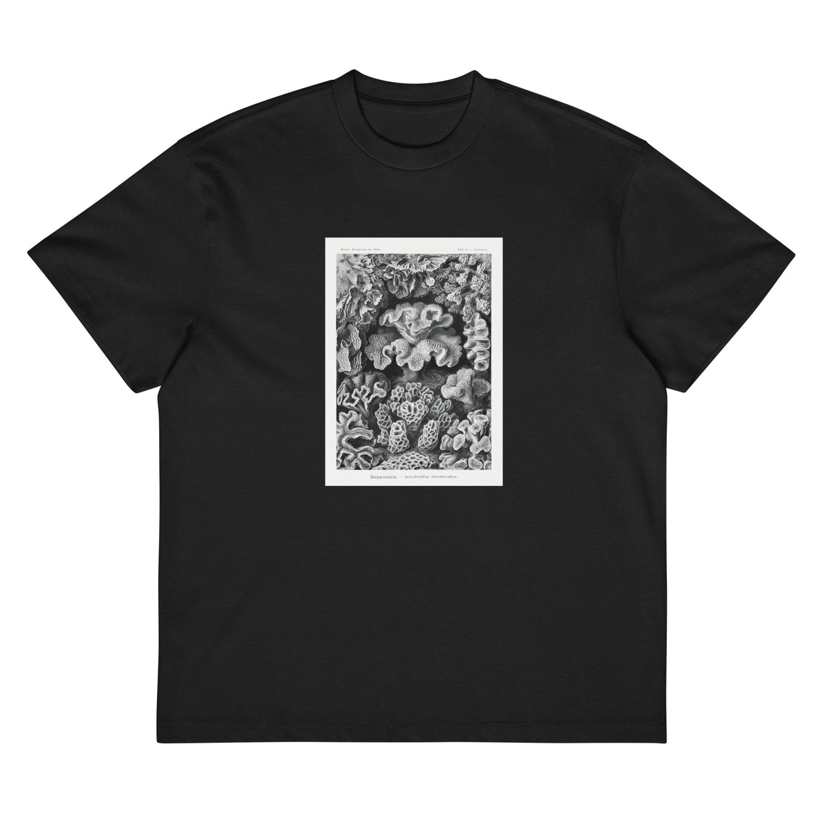 Black T-shirt Hexacoralla Sechsstrahlige Sternkorallen Signature