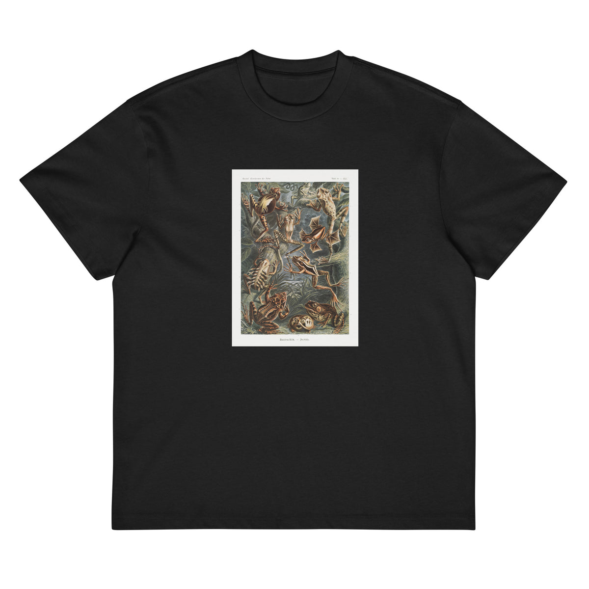 Black T-shirt Batrachia Frosche Signature
