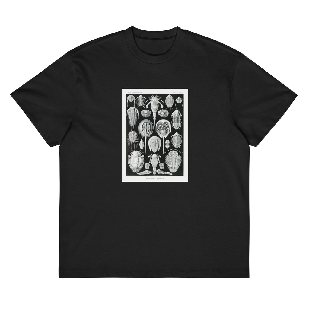 Black T-shirt Aspidonia Schildtiere Signature