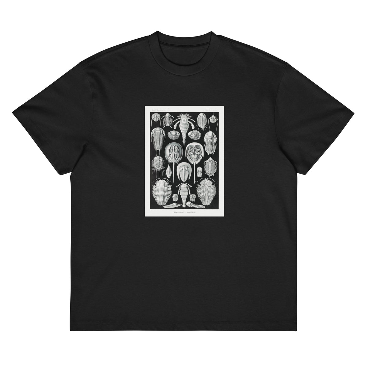 Black T-shirt Aspidonia Schildtiere Signature