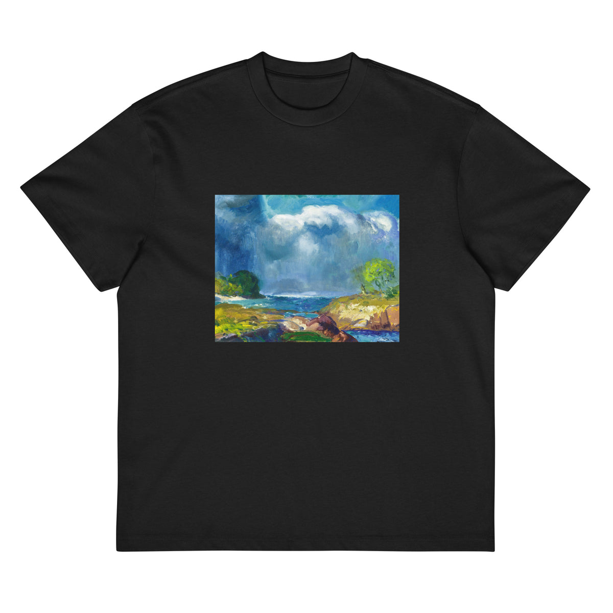 Black T-shirt The Coming Storm Signature