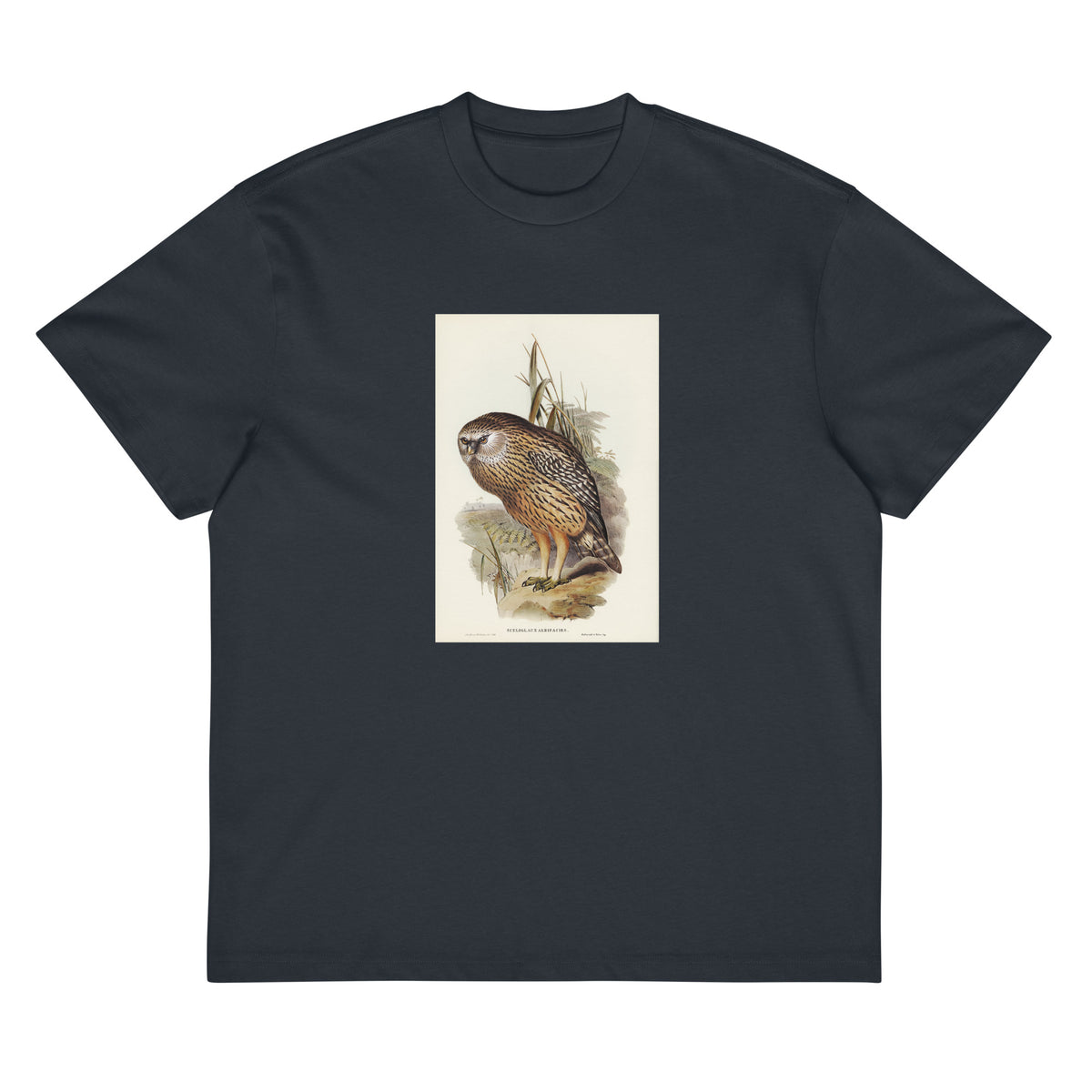 Navy T-shirt Wekau Sceloglaux Albifacies Illustrated - Elizabeth Gould 1804 Signature