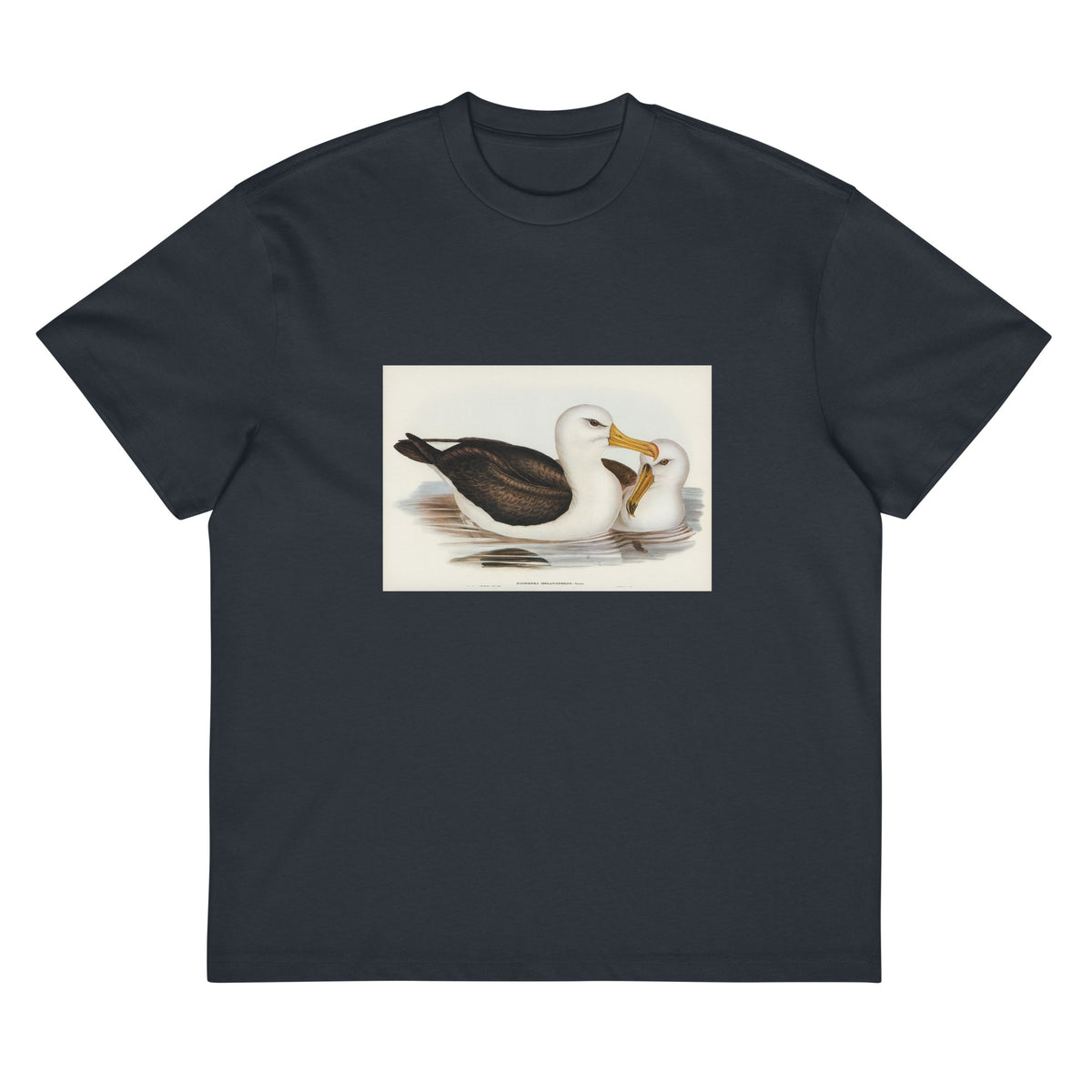 Navy T-shirt Black-Eyebrowed Albatros Diomedea Melanophrys Illustrated - Elizabeth Gould 1804 Signature
