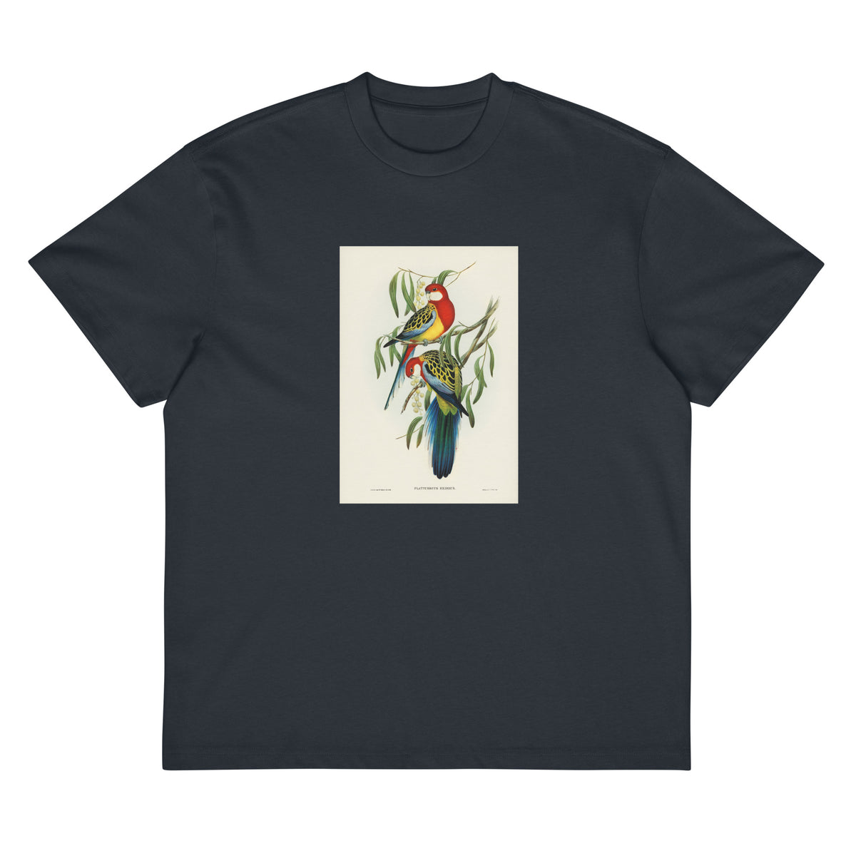 Navy T-shirt Rose-Hill Parakeet Platycercus Eximius Illustrated - Elizabeth Gould 1804 Signature