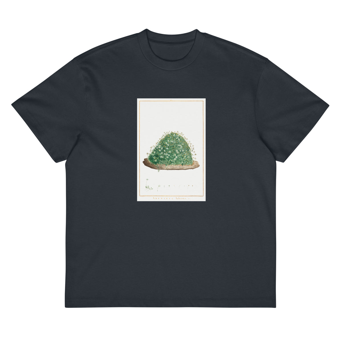Navy T-shirt Arenaria Balearica Image - Pierre-Joseph Redoute And Charles Louis L Heritier 1784 Signature