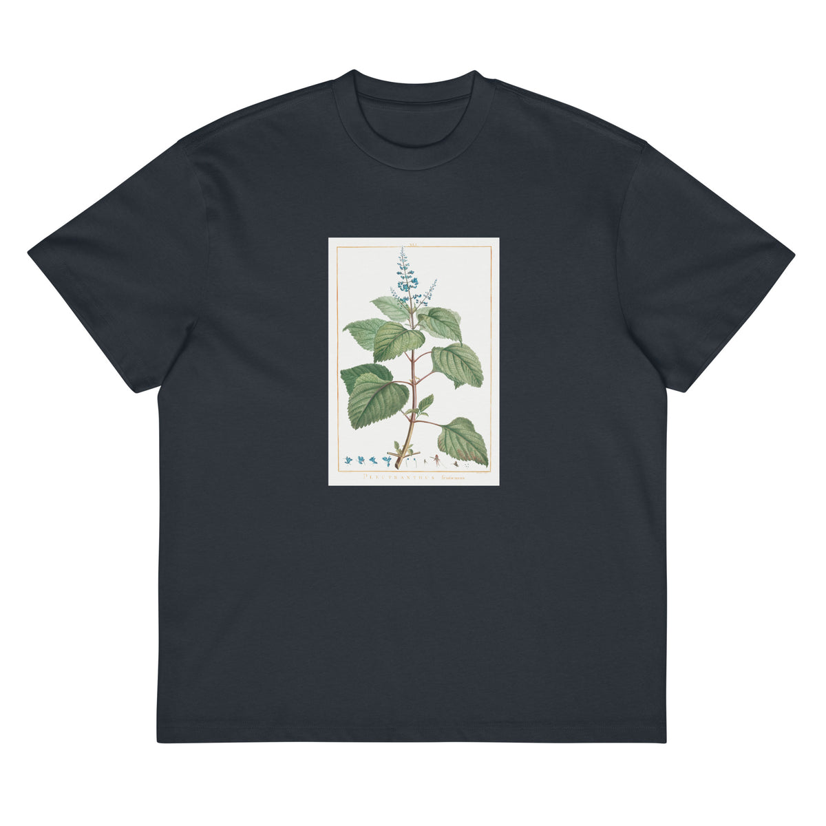 Navy T-shirt Plectranthus Fruticosus Image - Pierre-Joseph Redoute And Charles Louis 1784 Signature