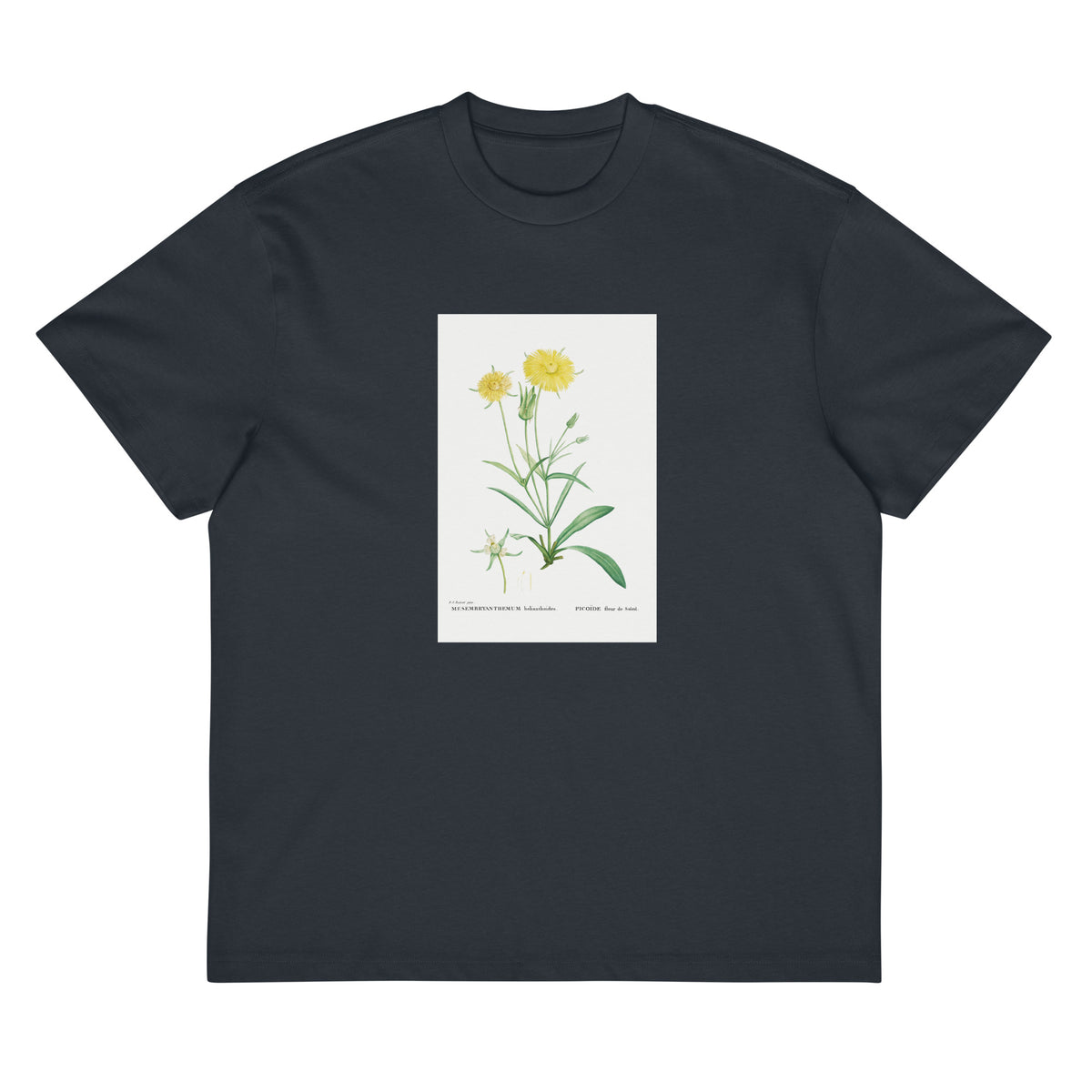 Navy T-shirt Mesembryanthemum Helianthoides Spatula Leaved Fig Marigold - Pierre-Joseph 1799 Signature