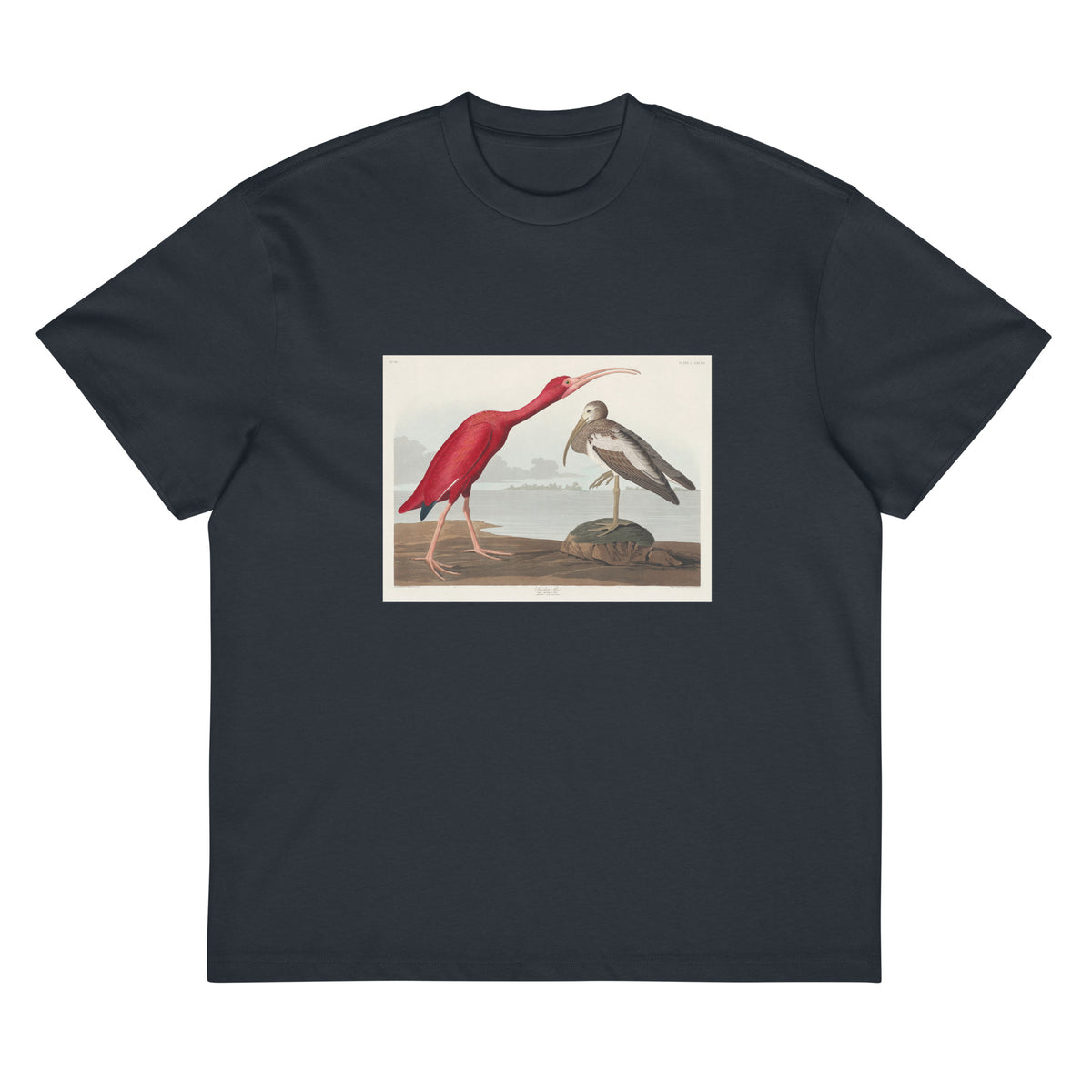 Navy T-shirt Scarlet Ibis - John James Audubon 1827 Signature