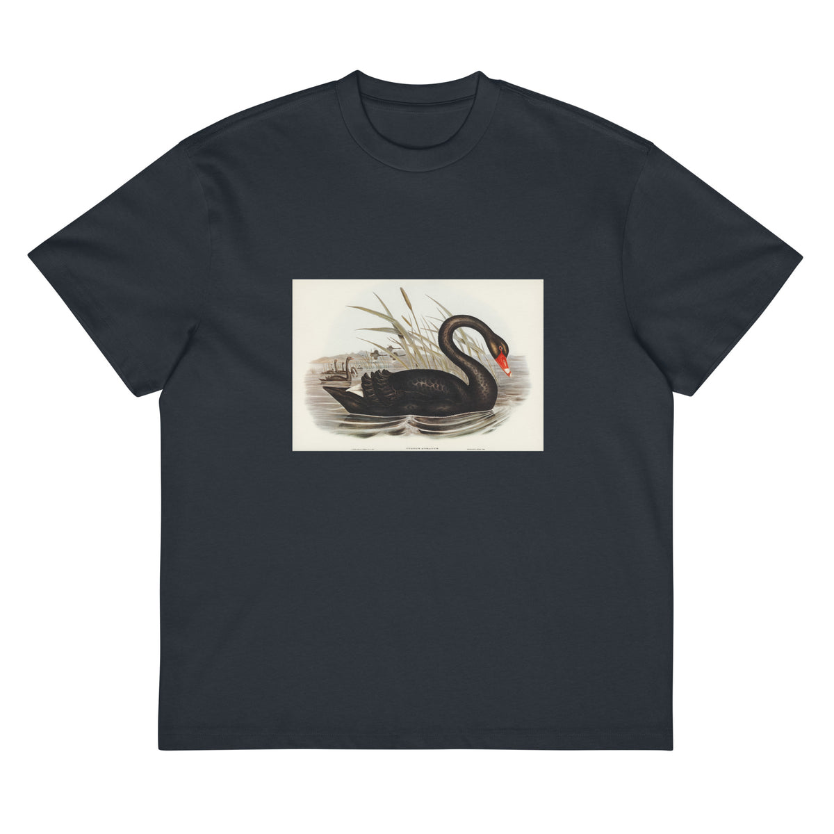 Navy T-shirt Black Swan Cygnus Atratus Illustrated - Elizabeth Gould 1804 Signature