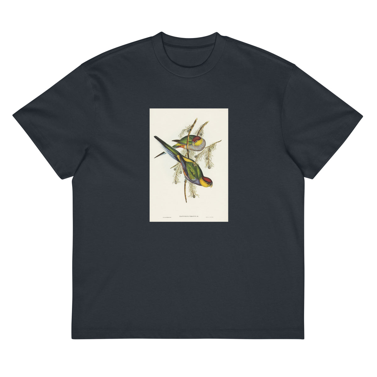 Navy T-shirt Red-Capped Parakeet Platycercus Pileatus Illustrated - Elizabeth Gould 1804 Signature