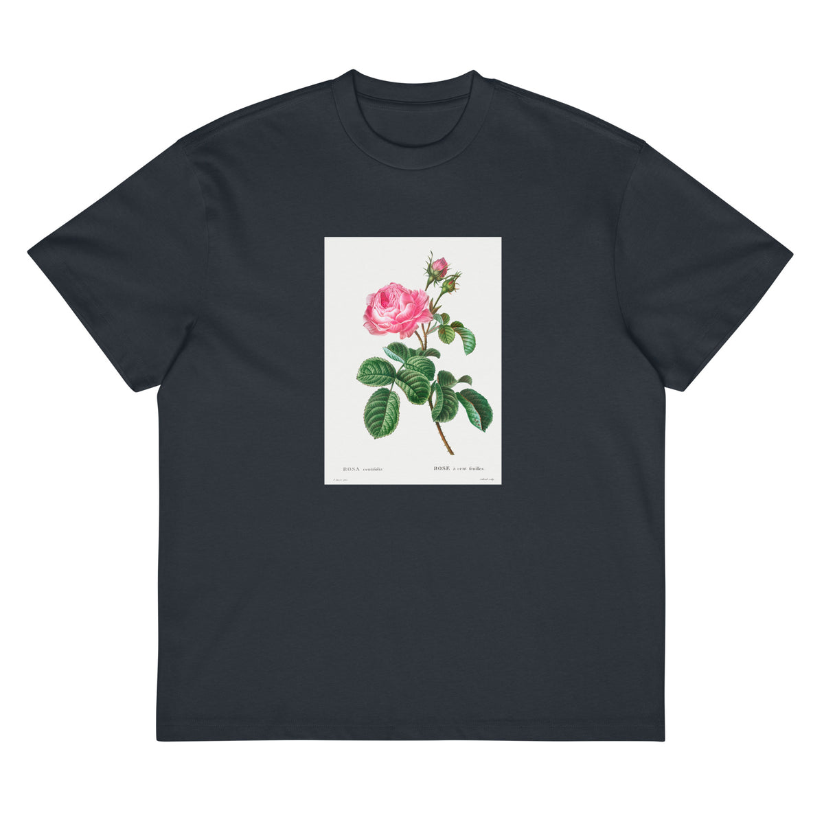 Navy T-shirt Cabbage Rose Rosa Centifolia Signature