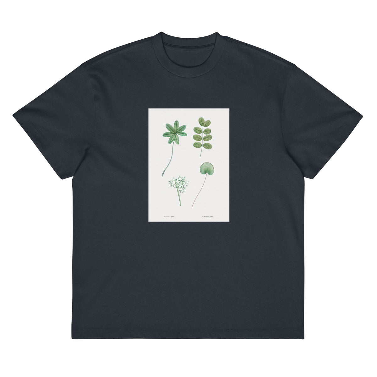 Navy T-shirt Tree Leaf Set - Pierre-Joseph Redoute 1759 Signature