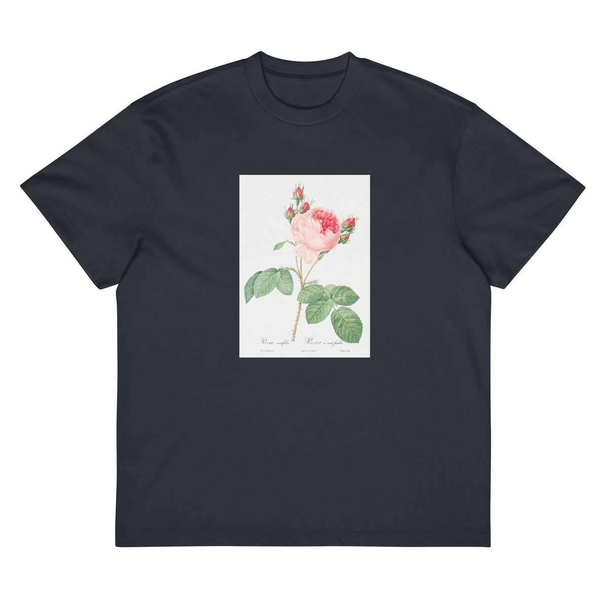 Navy T-shirt Cabbage Rose Also Known As One Hundred-Leaved Rose Rosa Centifolia Signature