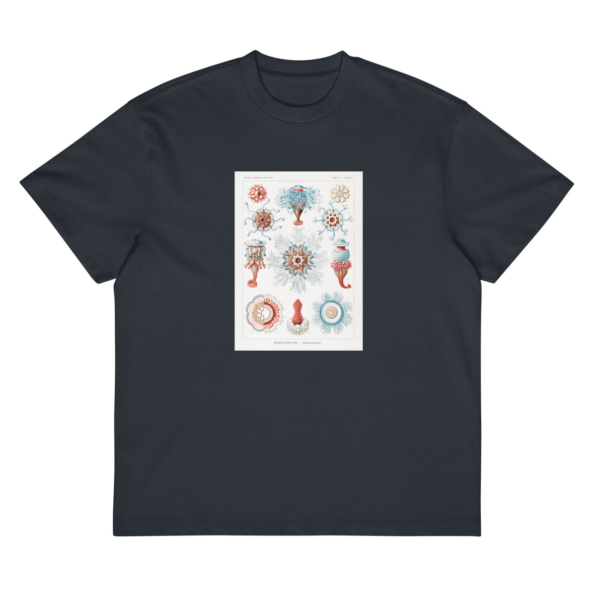 Navy T-shirt Siphonophorae Staatsquallen Signature