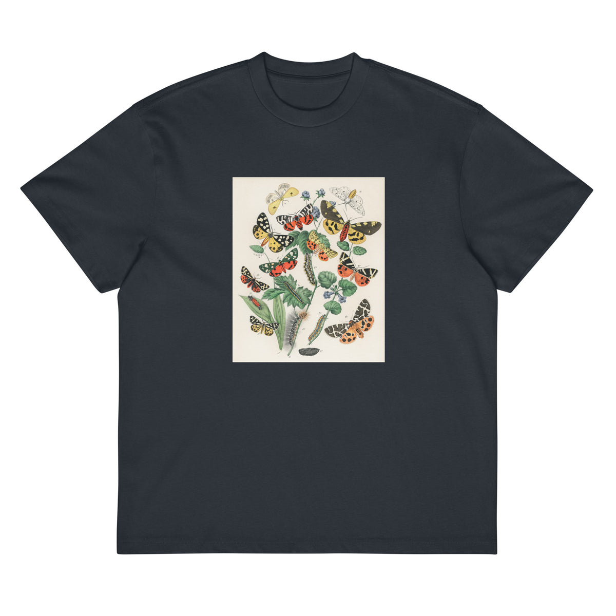 Navy T-shirt Illustrations - William Forsell Kirby 1882 Signature