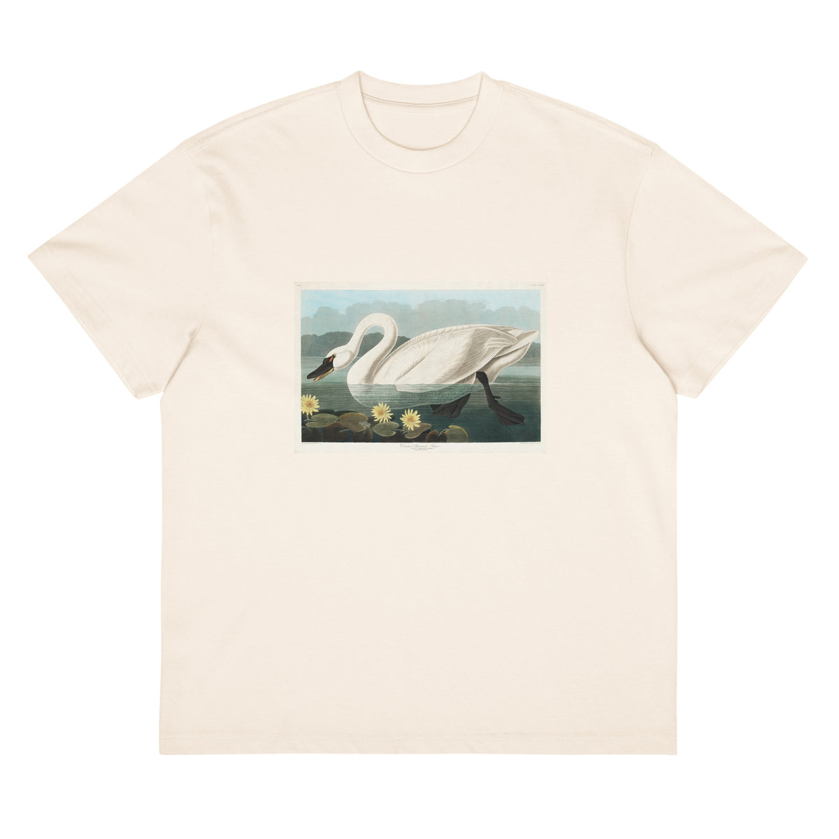 White T-shirt Common American Swan - John James Audubon 1827 Signature