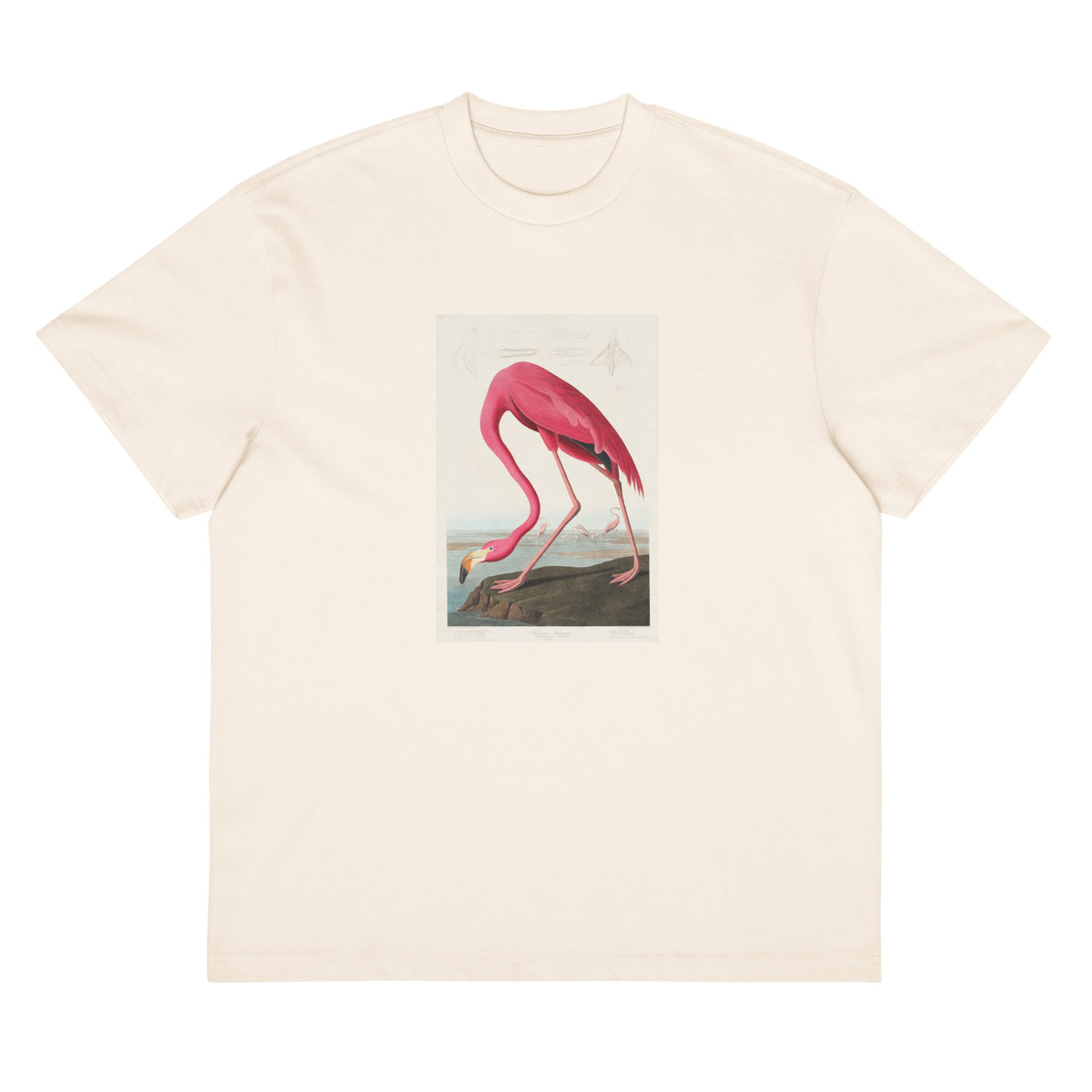 White T-shirt Pink Flamingo - John James Audubon 1827 Signature