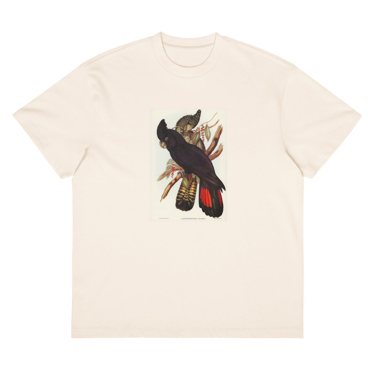 White T-shirt Banksian Cockatoo Calyptorhynchus Banksii Illustrated - Elizabeth Gould 1804 Signature